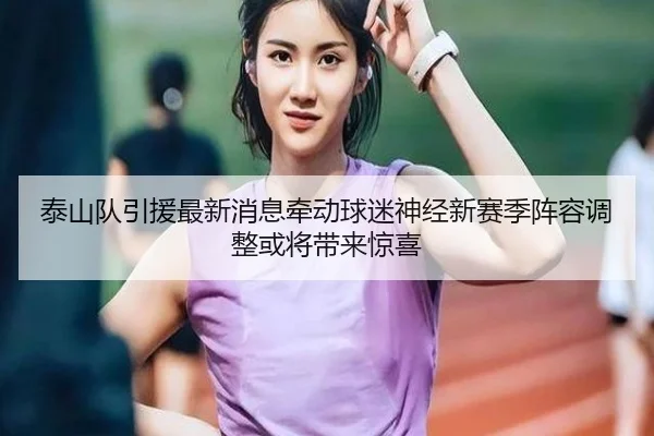 泰山队引援最新消息牵动球迷神经新赛季阵容调整或将带来惊喜